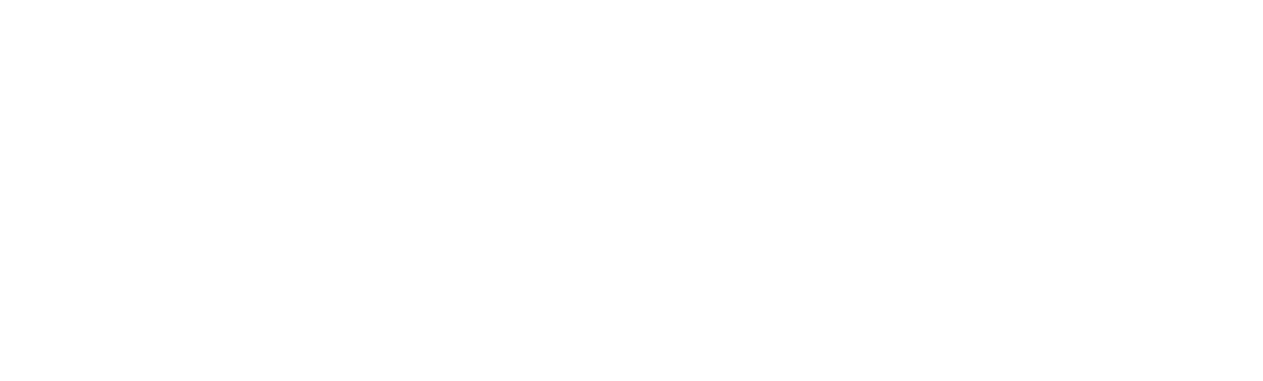 Clean N Protect Website
